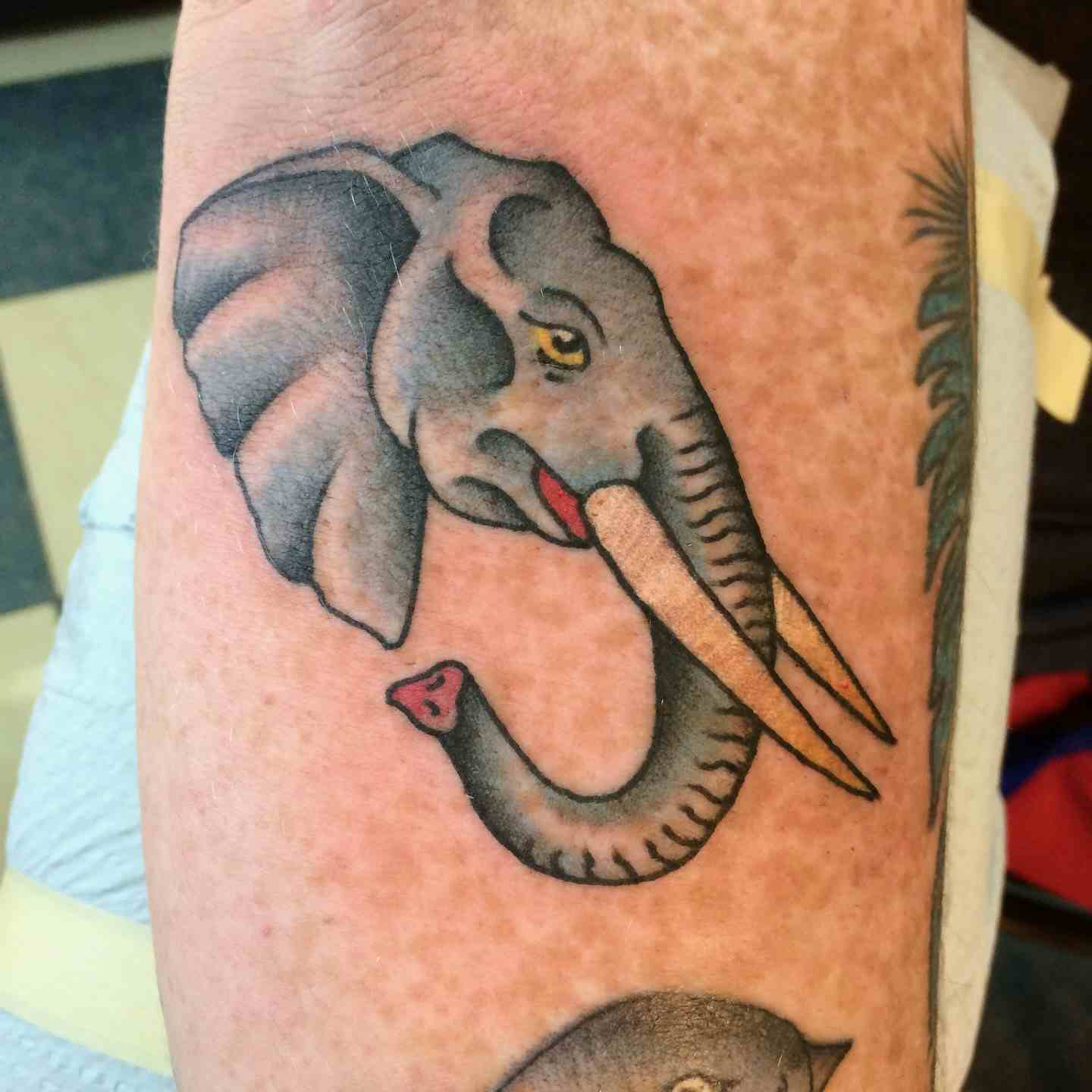 Elephant head tattoo