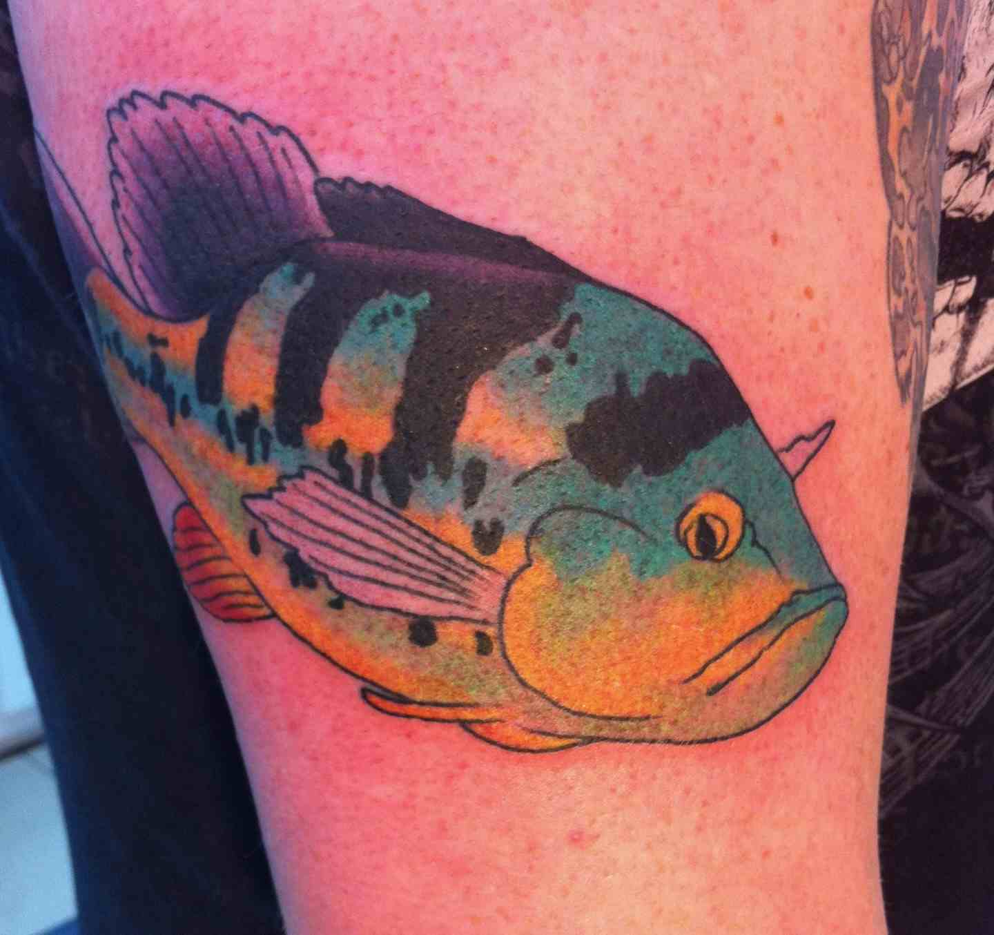 Parrot fish tattoo