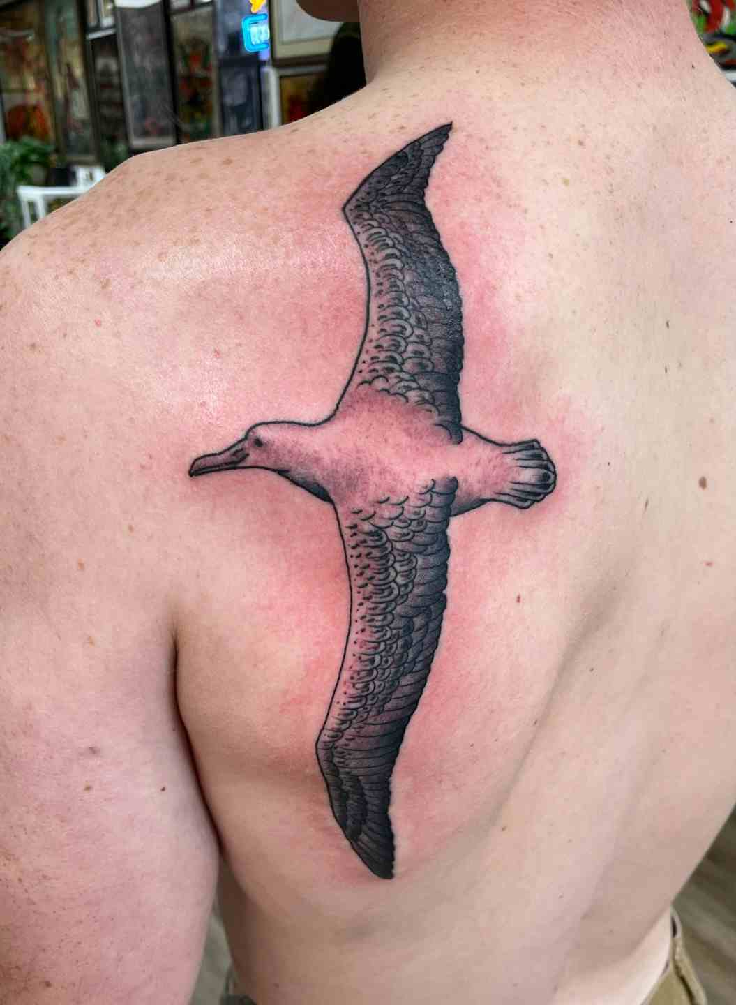 Black and gray albatross tattoo