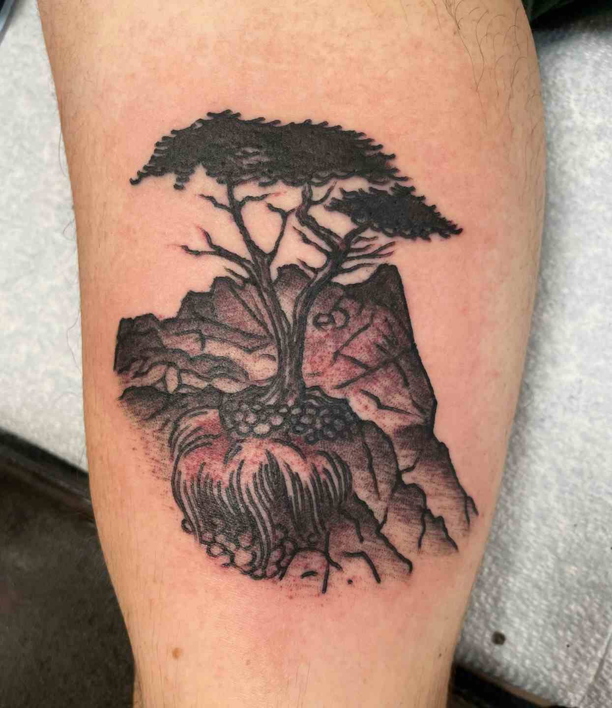 Lone cypress tattoo