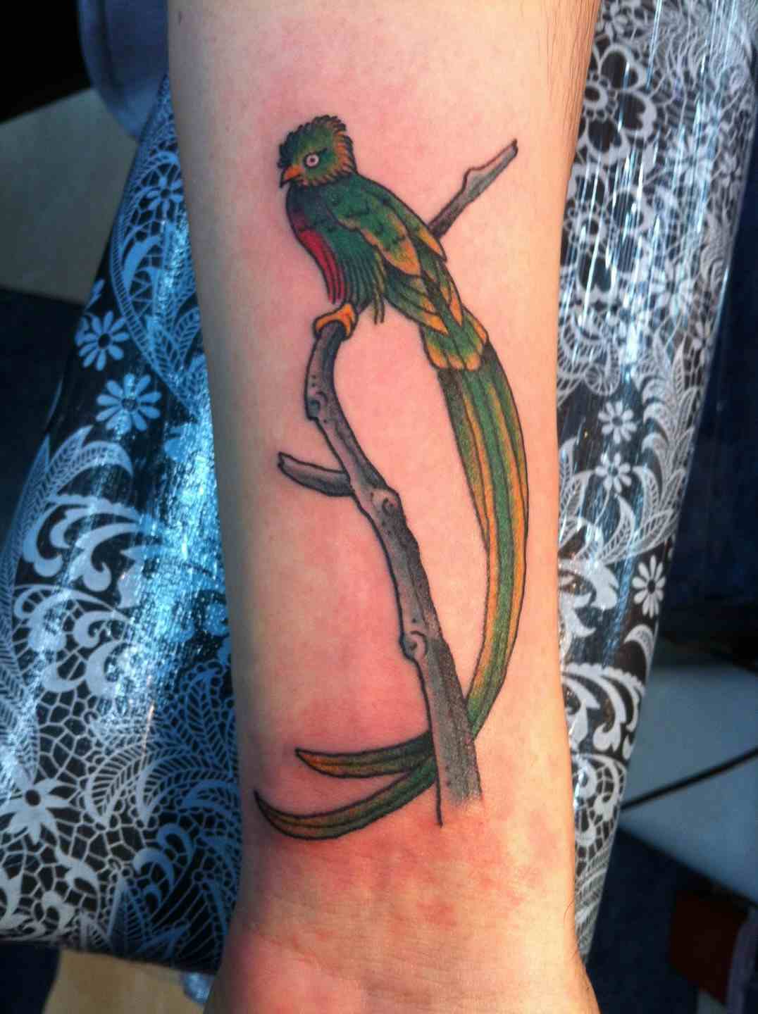 Tropical bird tattoo