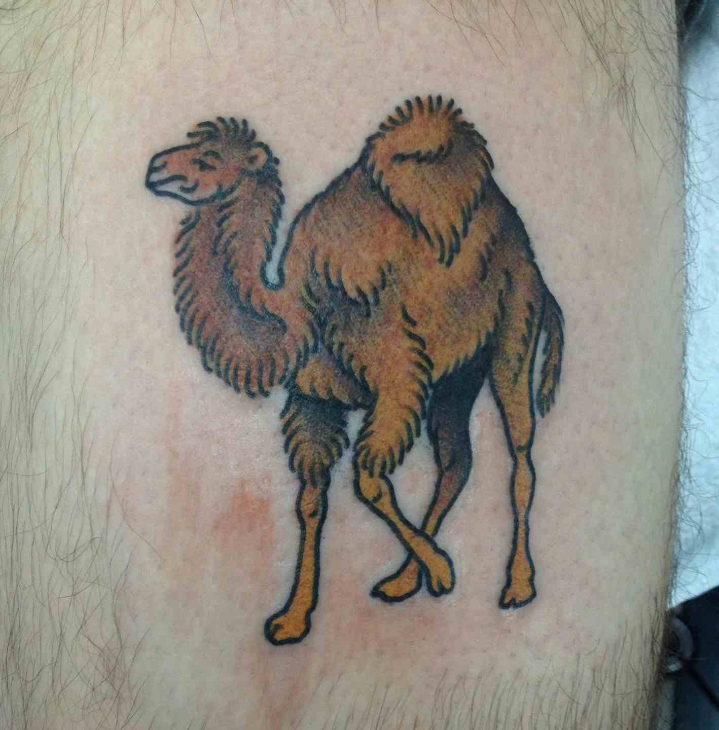 Camel tattoo