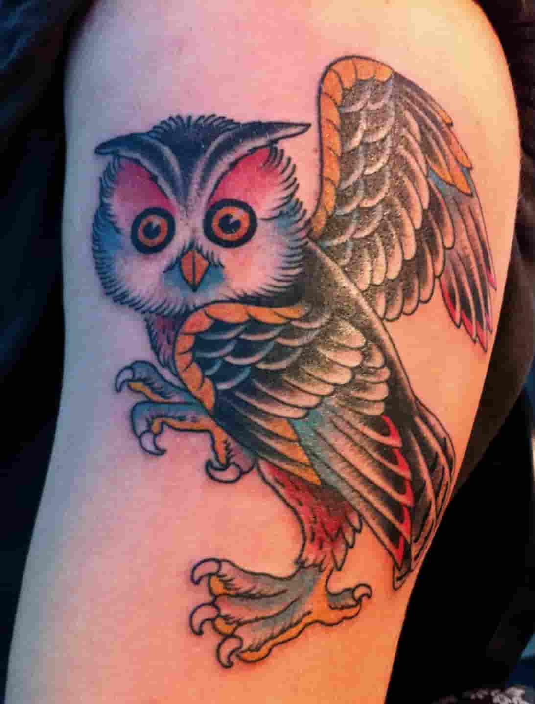 Owl tattoo