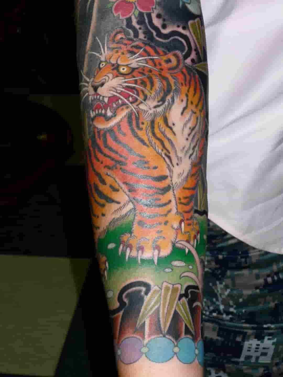 Tiger tattoo sleeve