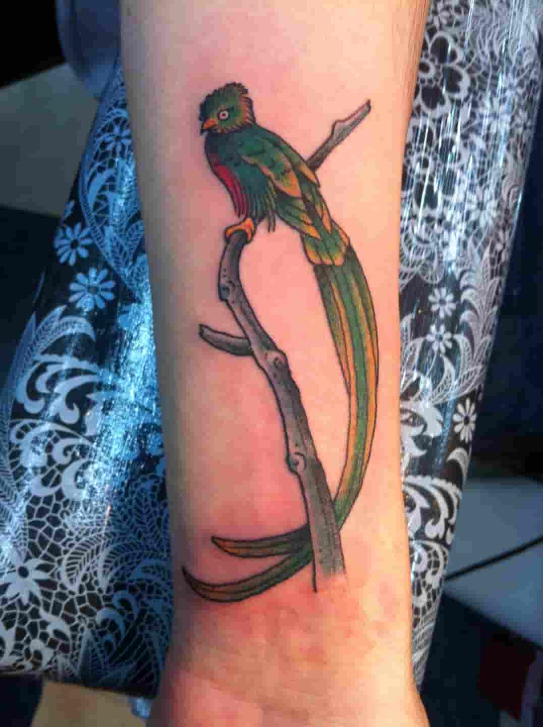Tropical bird tattoo