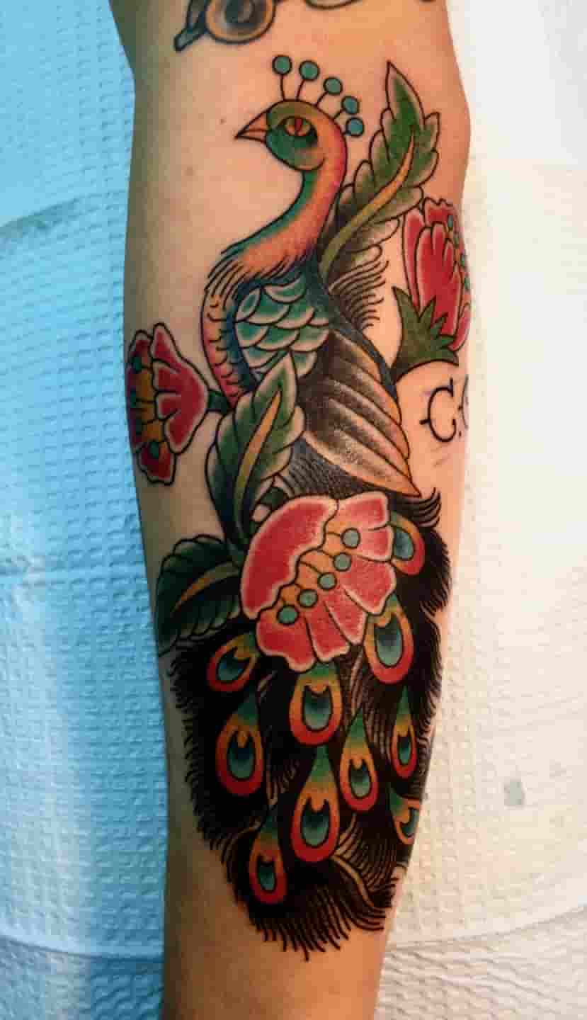 Traditional peacock tattoo