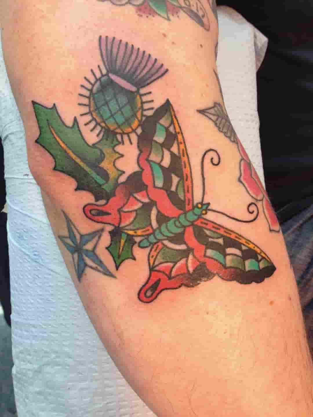 Butterfly and thistle tattoo